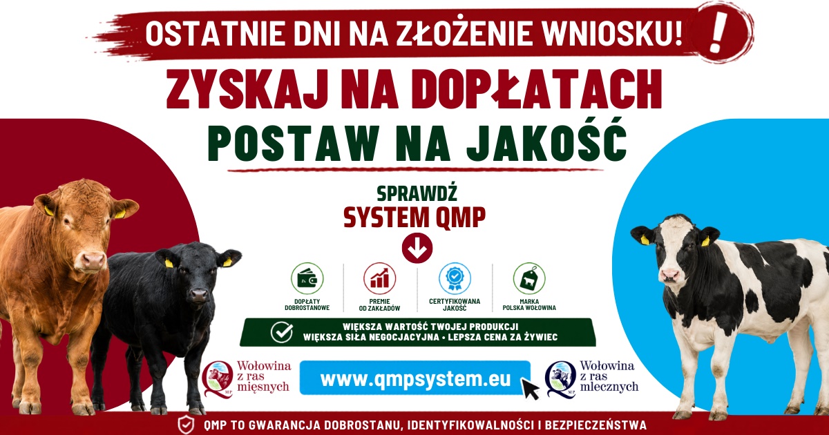 Ostatnie dnia na złożenie wniosku! Grafika informacyjna. Ostatnie dnia na złożenie wniosku! Grafika informacyjna.