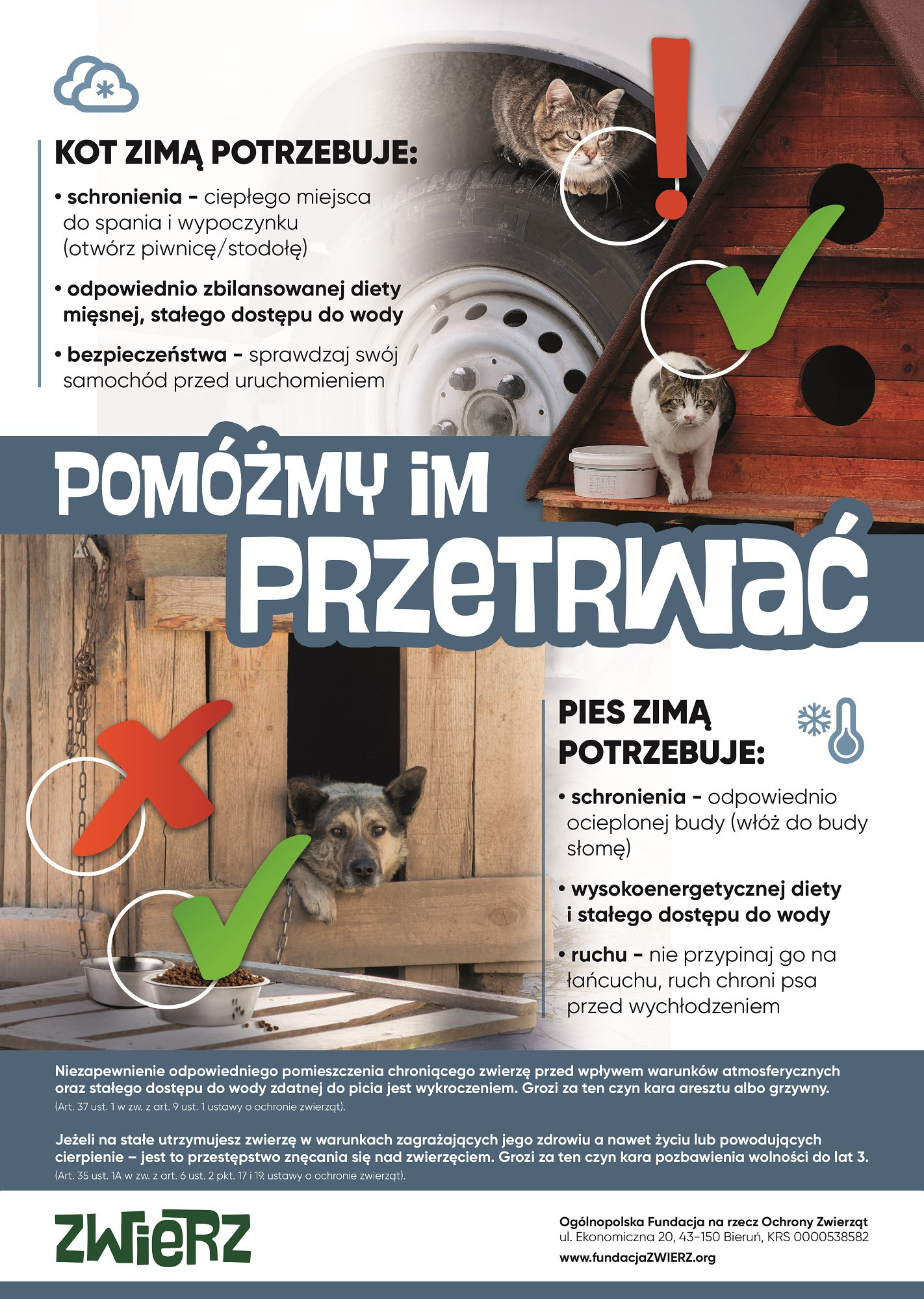 Plakat informujący o potrzebach zwierząt w czasie zimy.